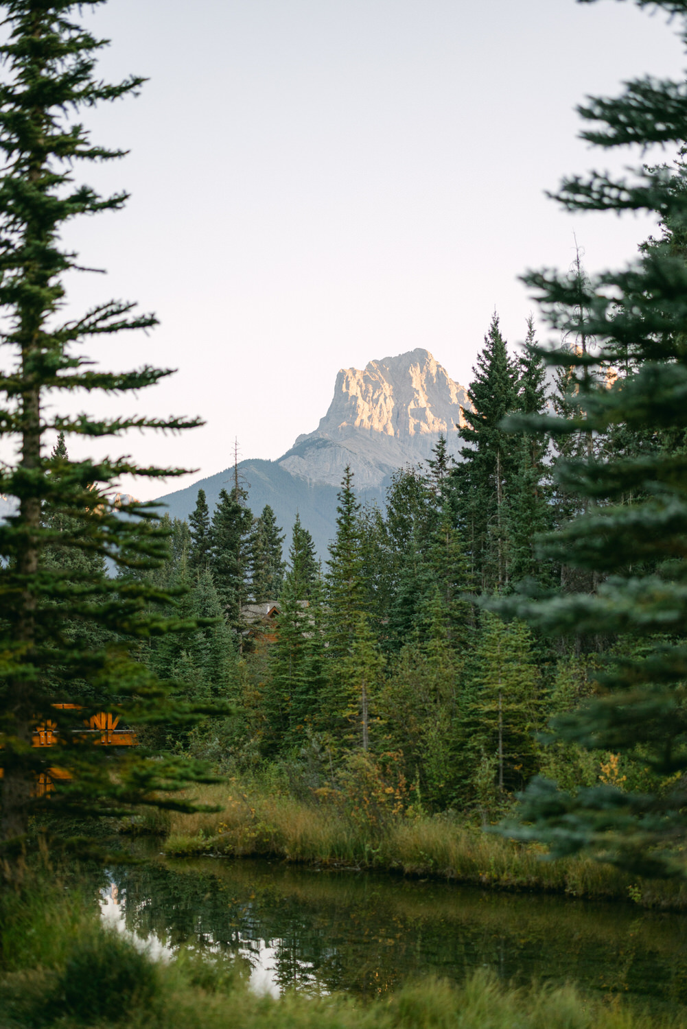 A serene mountain peak seen through a lush evergreen forest with a calm reflective pond in the foreground.