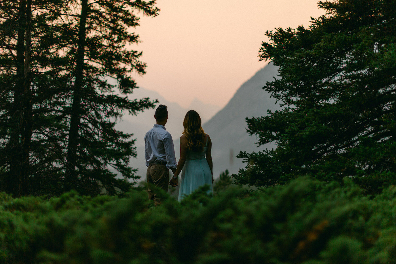 A man and a woman holding hands, standing between pine trees, looking towards a hazy mountain range at dusk.