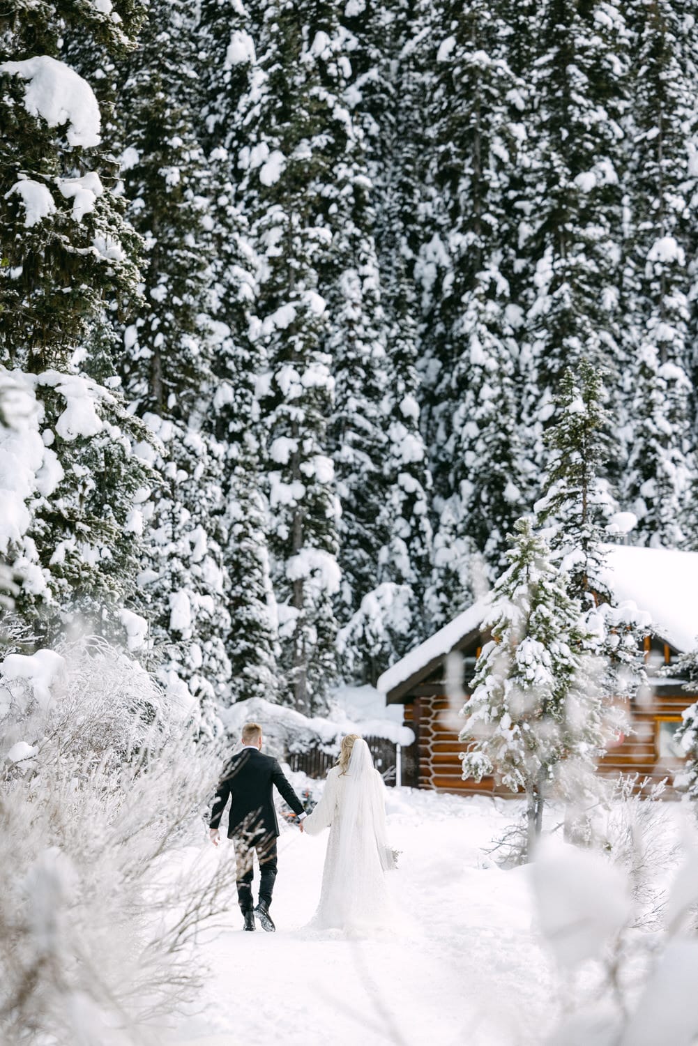 A couple holding hands and walking away in the snow, with the bride in a white dress and the groom in a suit, surrounded by snowy trees.