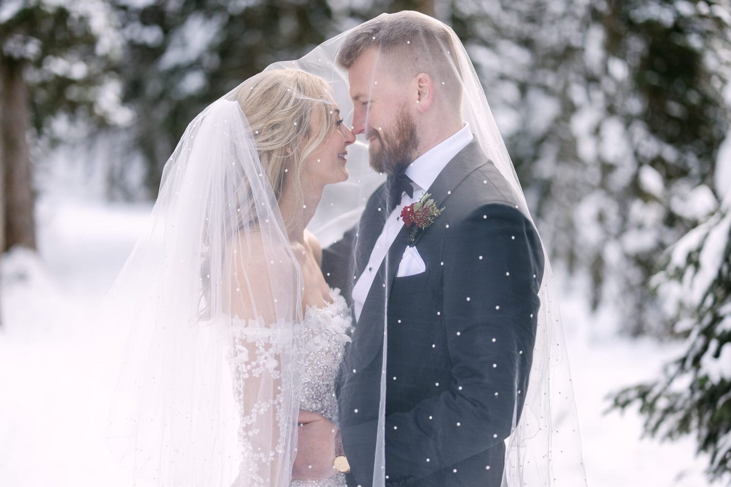 A bride and groom sharing an intimate moment under a bridal veil amidst a snowy landscape.