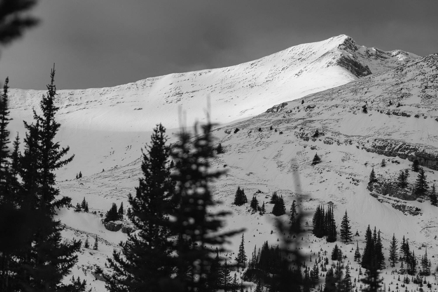 Black and white landscape image of a snow-covered mountain peak with evergreen trees in the foreground.