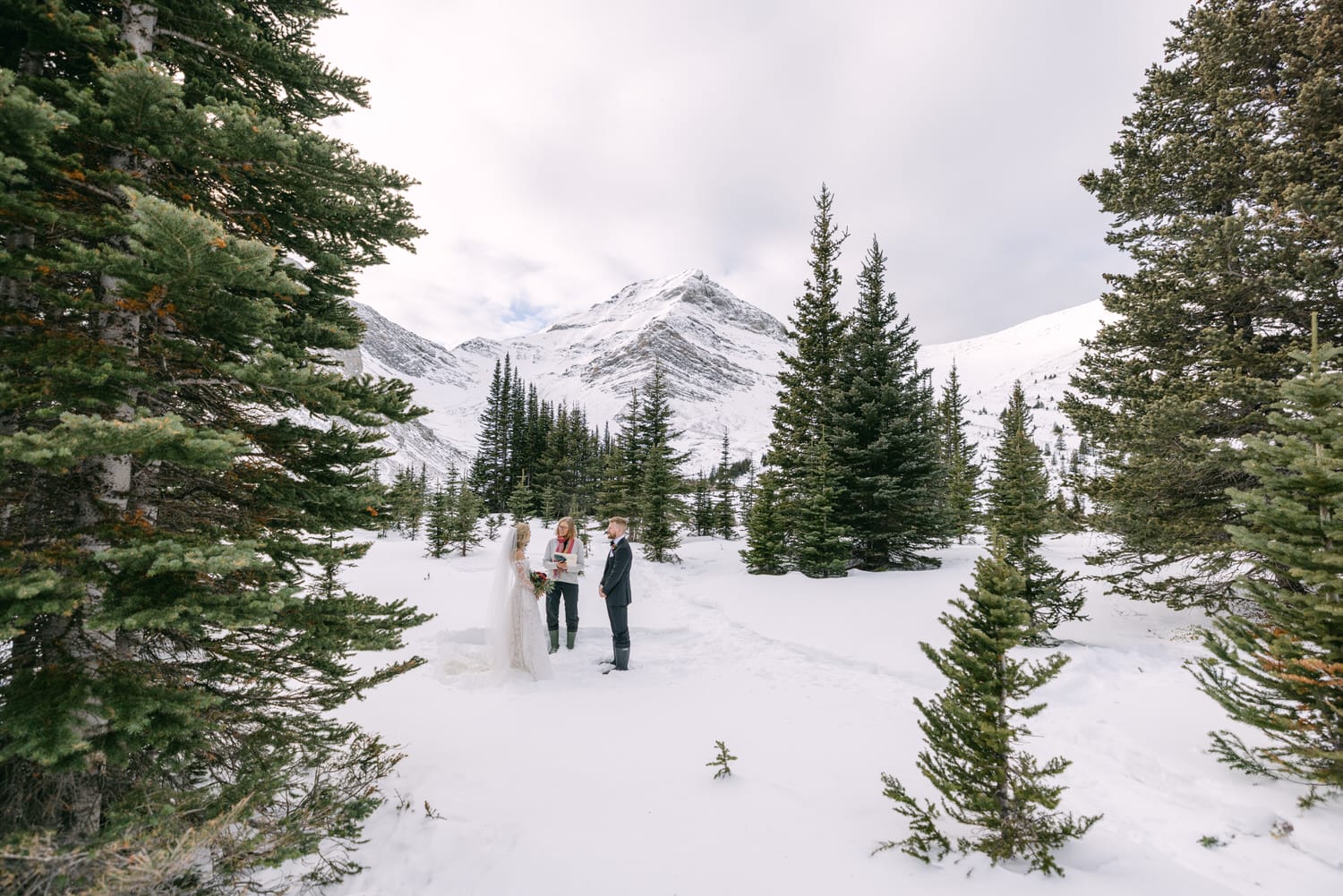 A bride and groom holding hands in a snowy landscape with evergreen trees and a mountain in the background.