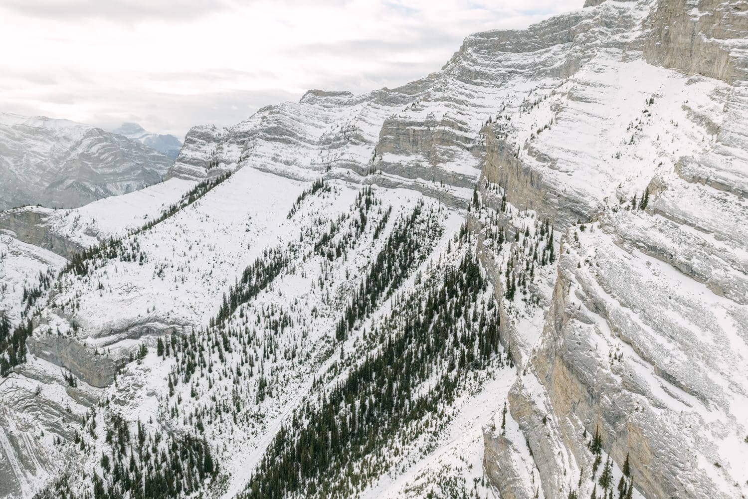 Aerial view of snow-covered mountains with pine trees and steep cliffs.