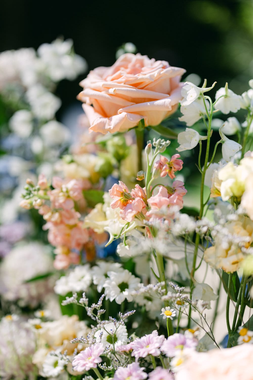 Close-up of a peach rose with a variety of delicate pastel flowers in the background.