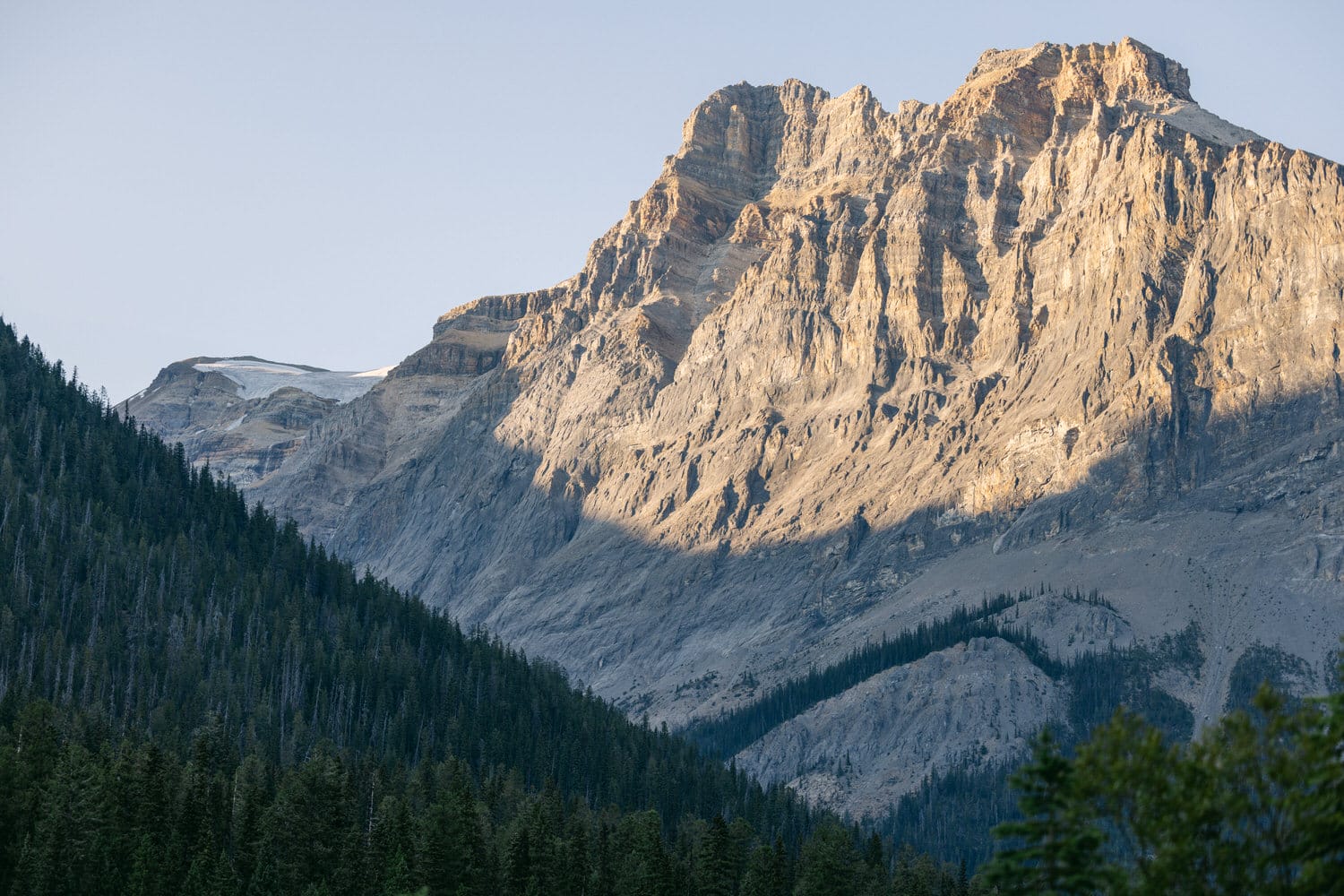 A towering mountain with rugged cliffs and sparse snow patches illuminated by the soft light of the setting sun, with a foreground of dense evergreen forest.