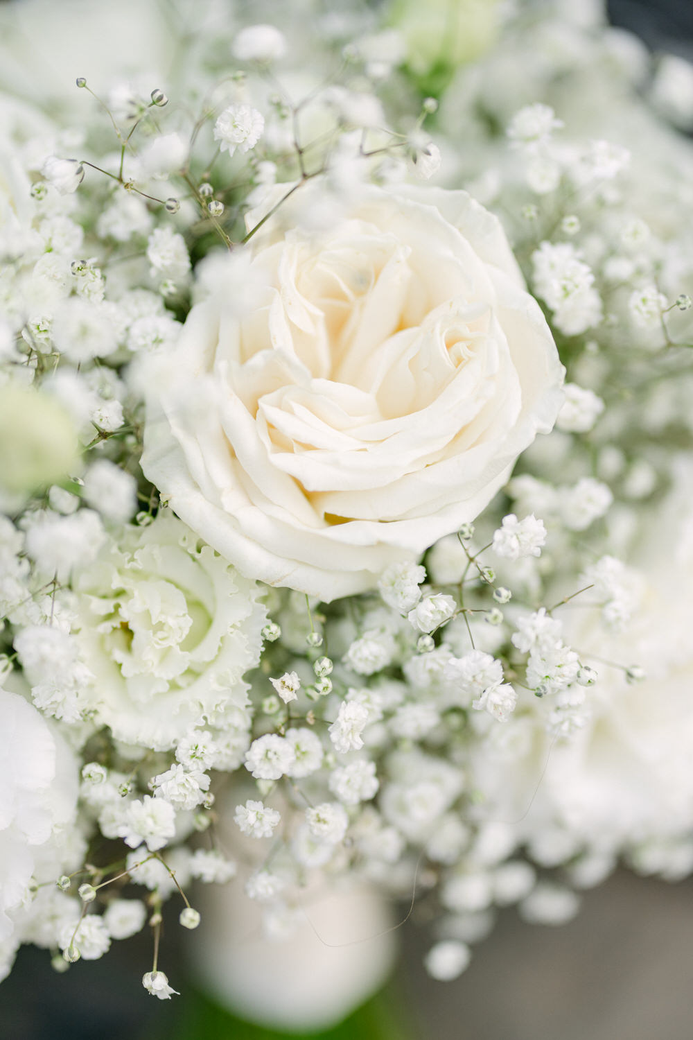 Close-up of white roses and baby’s breath flowers, creating a soft and delicate floral arrangement.