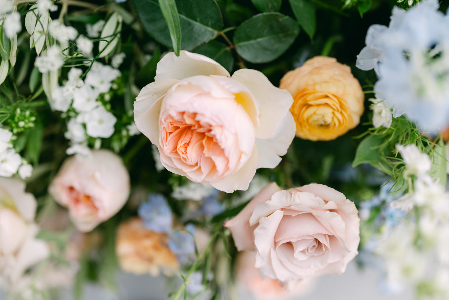 A close-up view of assorted delicate roses and blossoms in soft pastel colors surrounded by greenery.