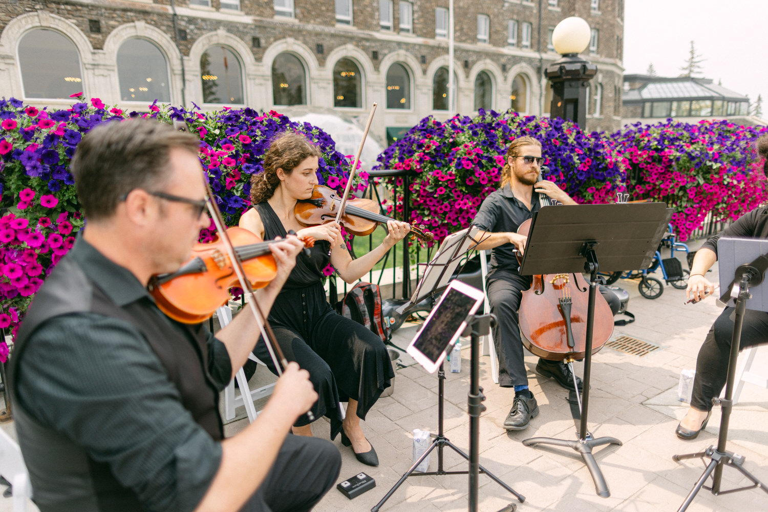 A string quartet performs outdoors, surrounded by colorful flowers, with musicians playing violins and a cello.