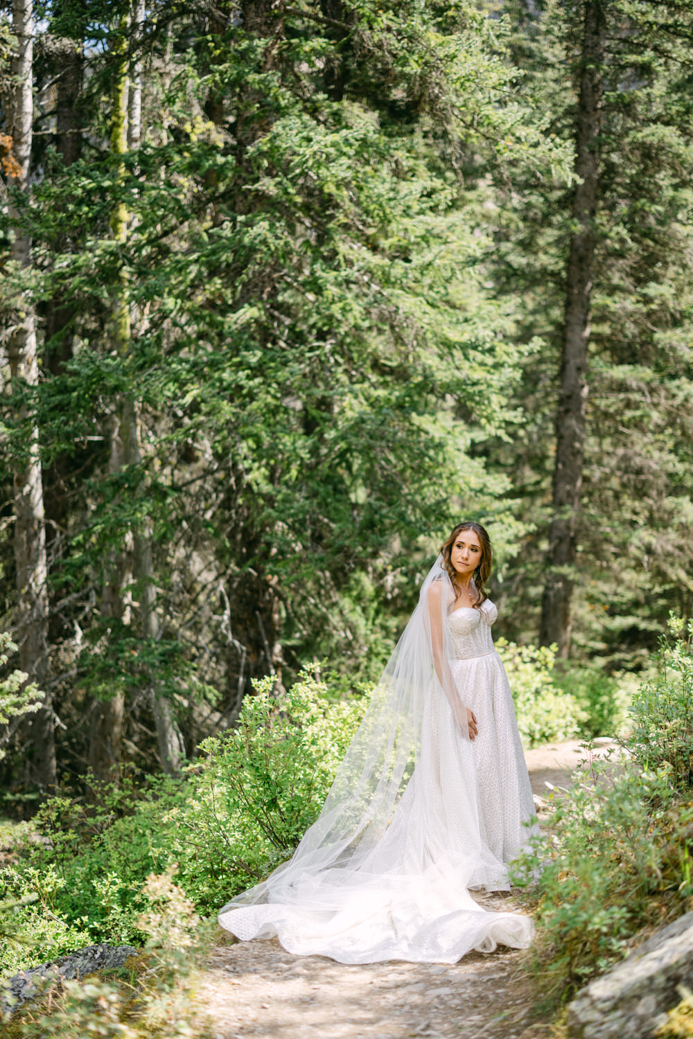 A bride in a flowing wedding gown and veil stands elegantly on a forest path, surrounded by lush greenery and towering trees.