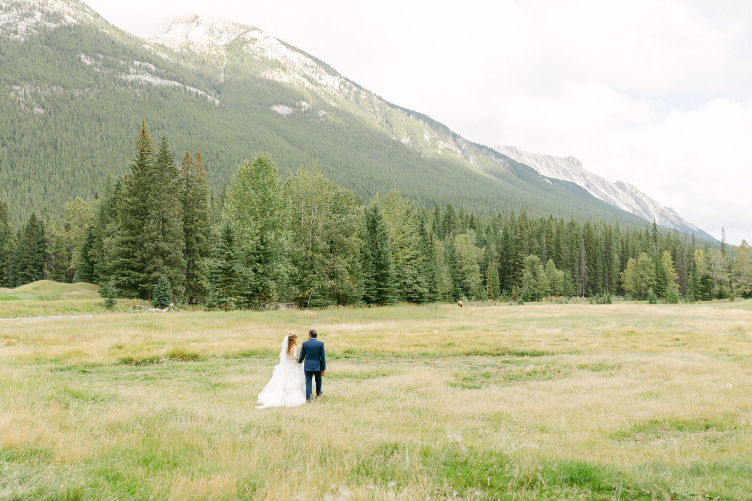 A couple in wedding attire walking hand in hand through a lush, green meadow with mountains in the background.